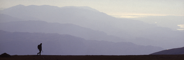 Lone walker, Fairfield.